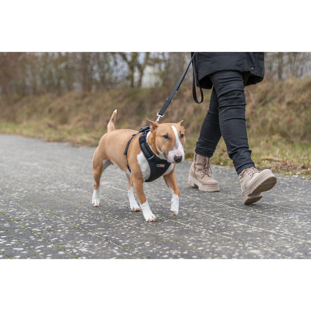 V3H4BA2097E6B7C1E23BDB5111D9E4DEA54R7451938P7