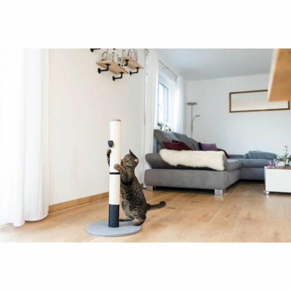 V3H9B1FC00B2AB9F081C486A85085AE6D77R5763411P4