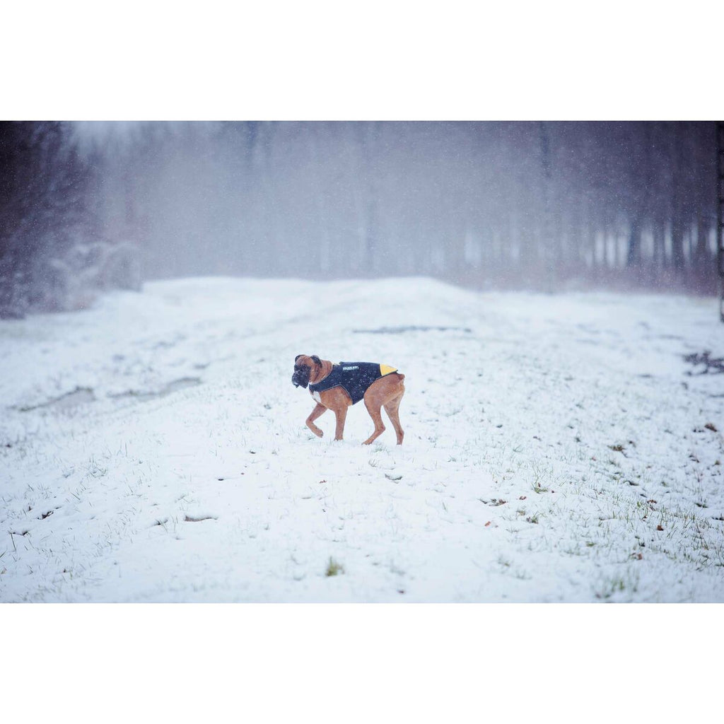 V5H4022C0BBEF08A5F2EFD3802D81FC5343R7445350P2